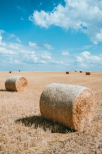 photography brown haystacks during daytime