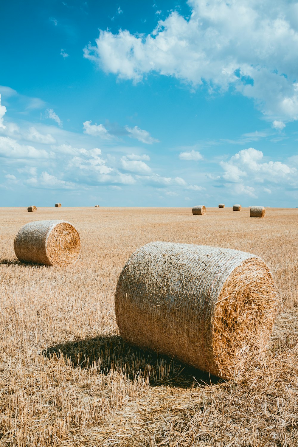 photography brown haystacks during daytime