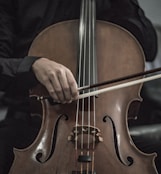 person wearing black dress shirt playing brown cello string instrument