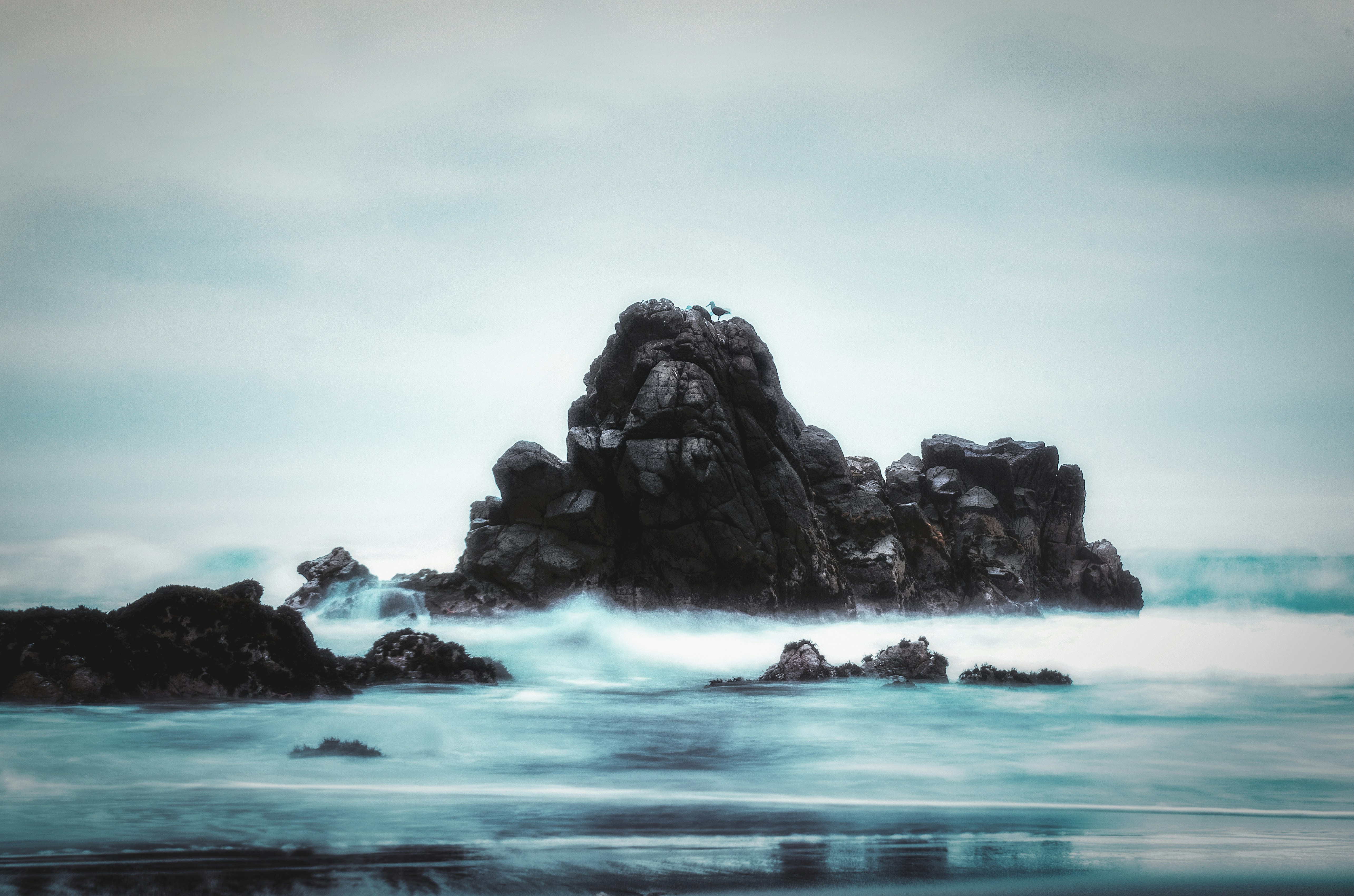 Photo by giancarlor_photo