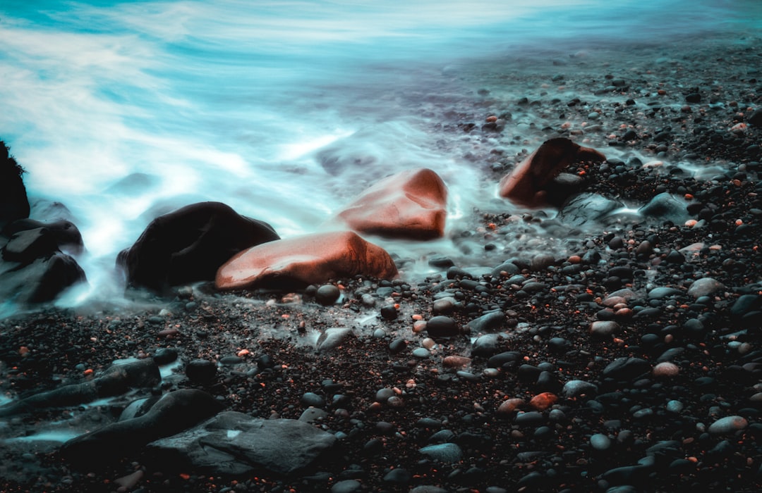 macro photography of seashore with rocks