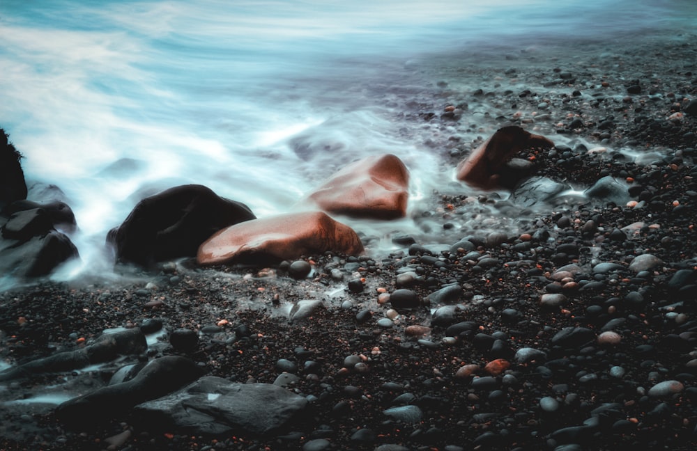 macro photography of seashore with rocks