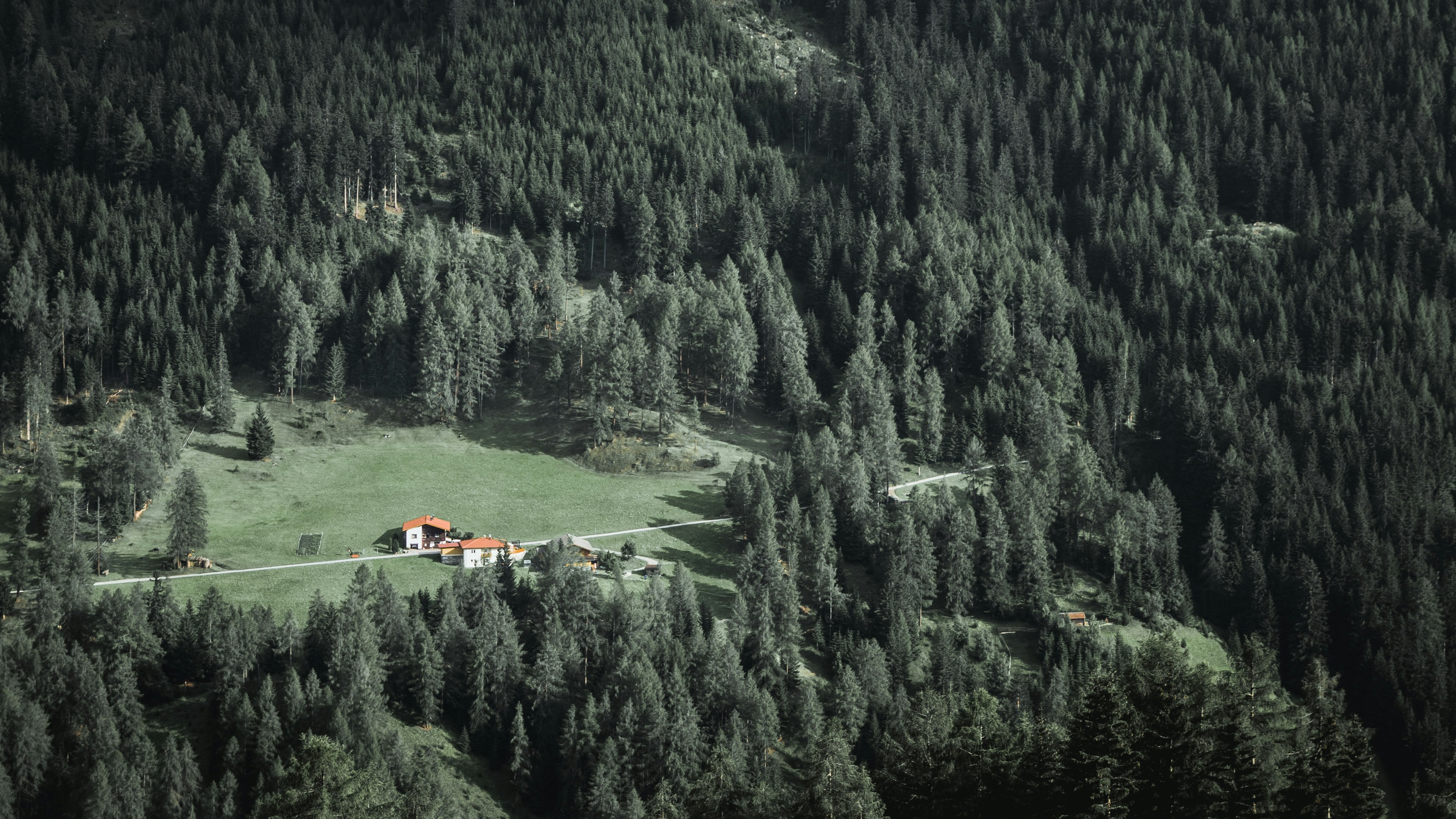 Il calore dell'Austria invernale tra distillati e boschi