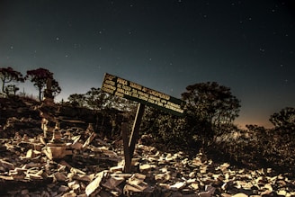 A nighttime scene with a starlit sky above a rocky area dotted with stacked stones. A wooden sign in Portuguese is prominently displayed among the rocks. The landscape has scattered trees in the background, contributing to a serene and mysterious atmosphere.