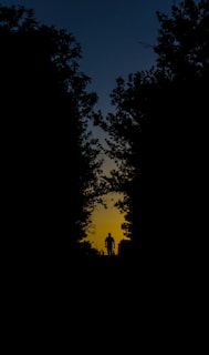 silhouette of person walking on forest