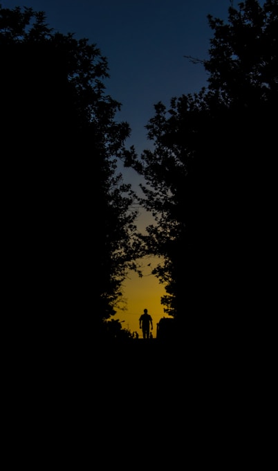 silhouette of person walking on forest