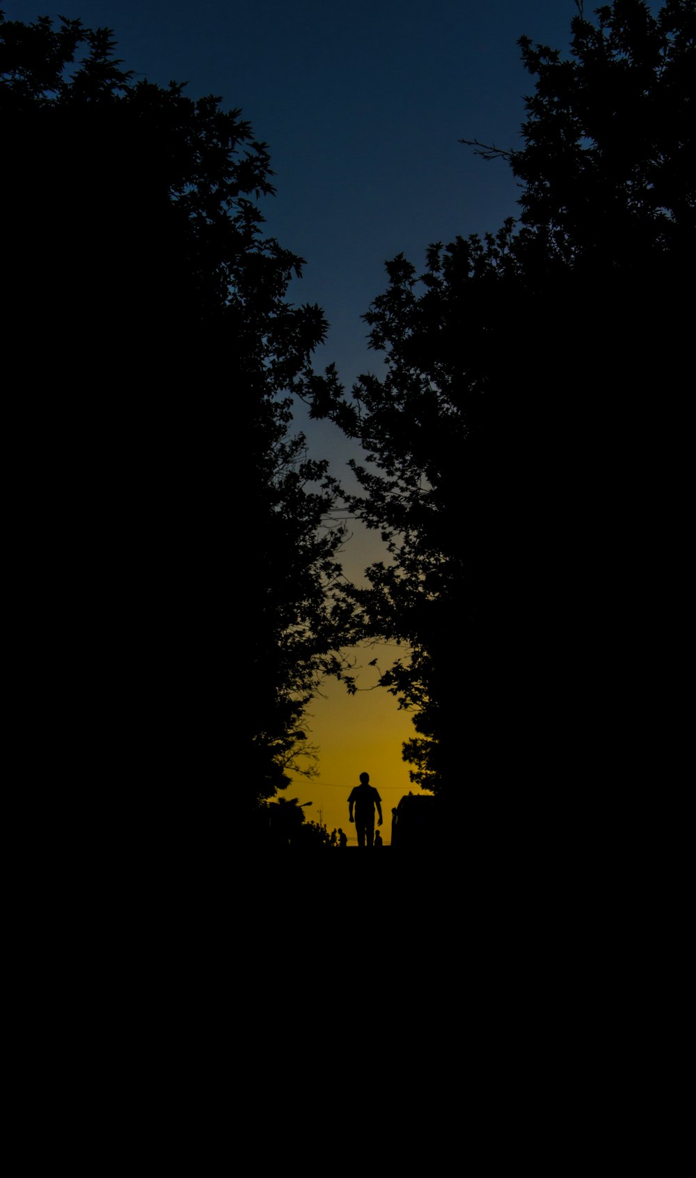 Silhouette einer Person, die im Wald spazieren geht