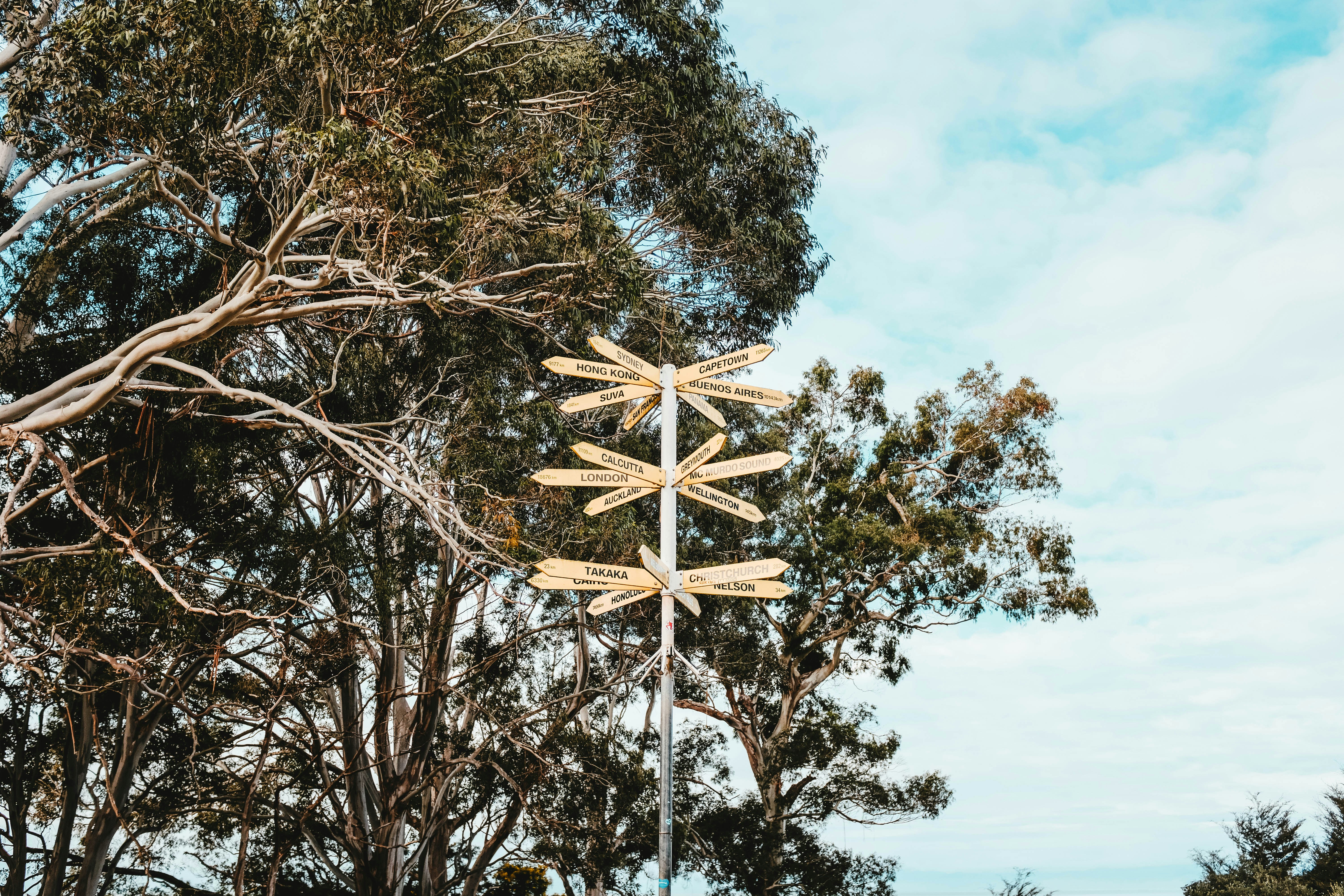 wooden road signs, Way
