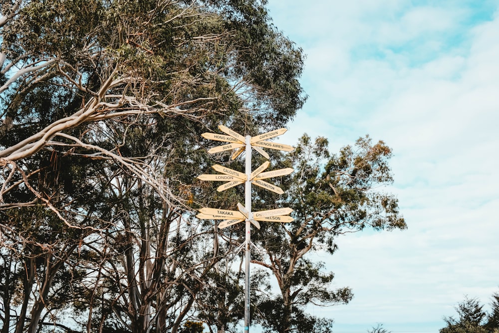 wooden road signs