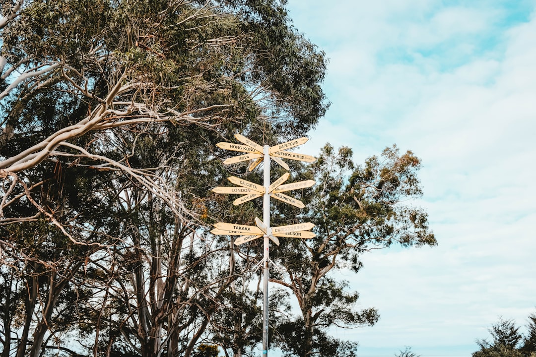 wooden road signs, Way
