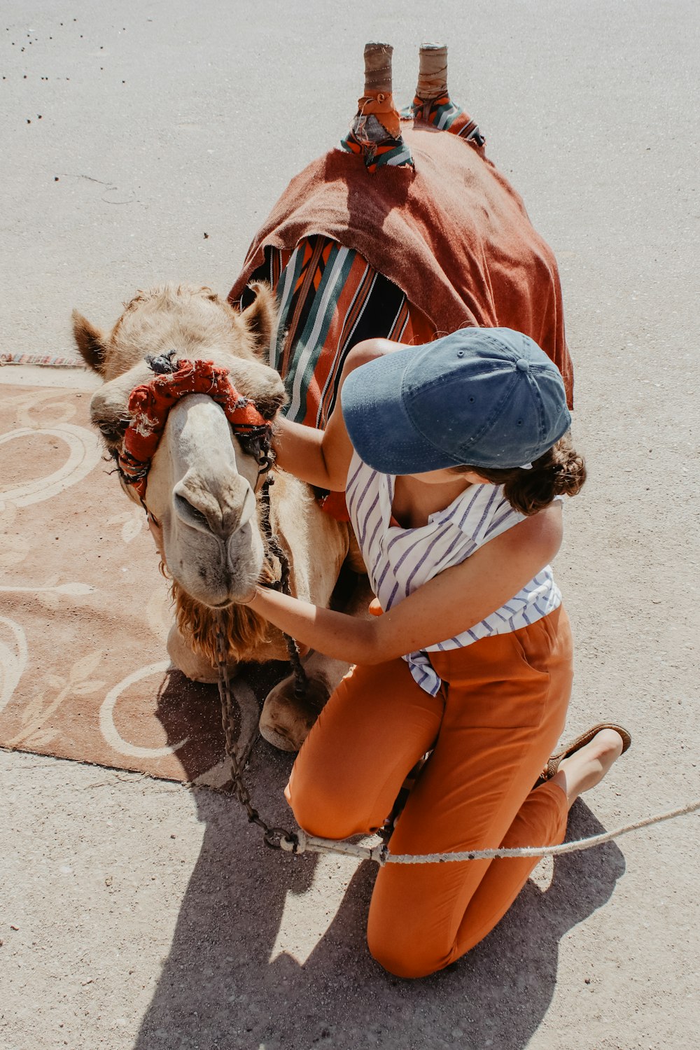 Frau kniet neben braunem Kamel auf dem Boden