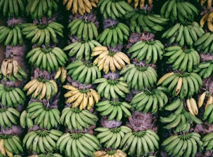 banana fruit lot