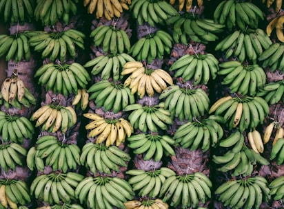 banana fruit lot
