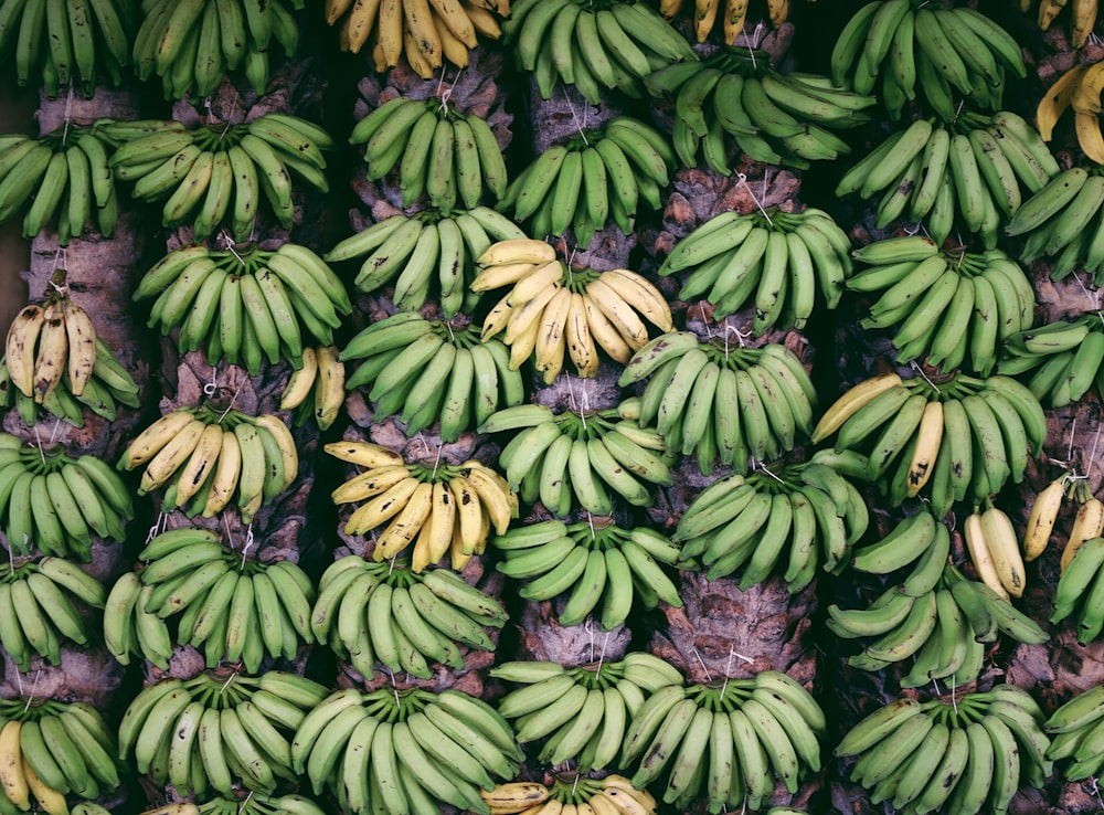 바나나 과일 로트