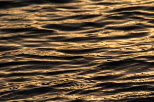 body of water wallpaper in Jenny Lake United States