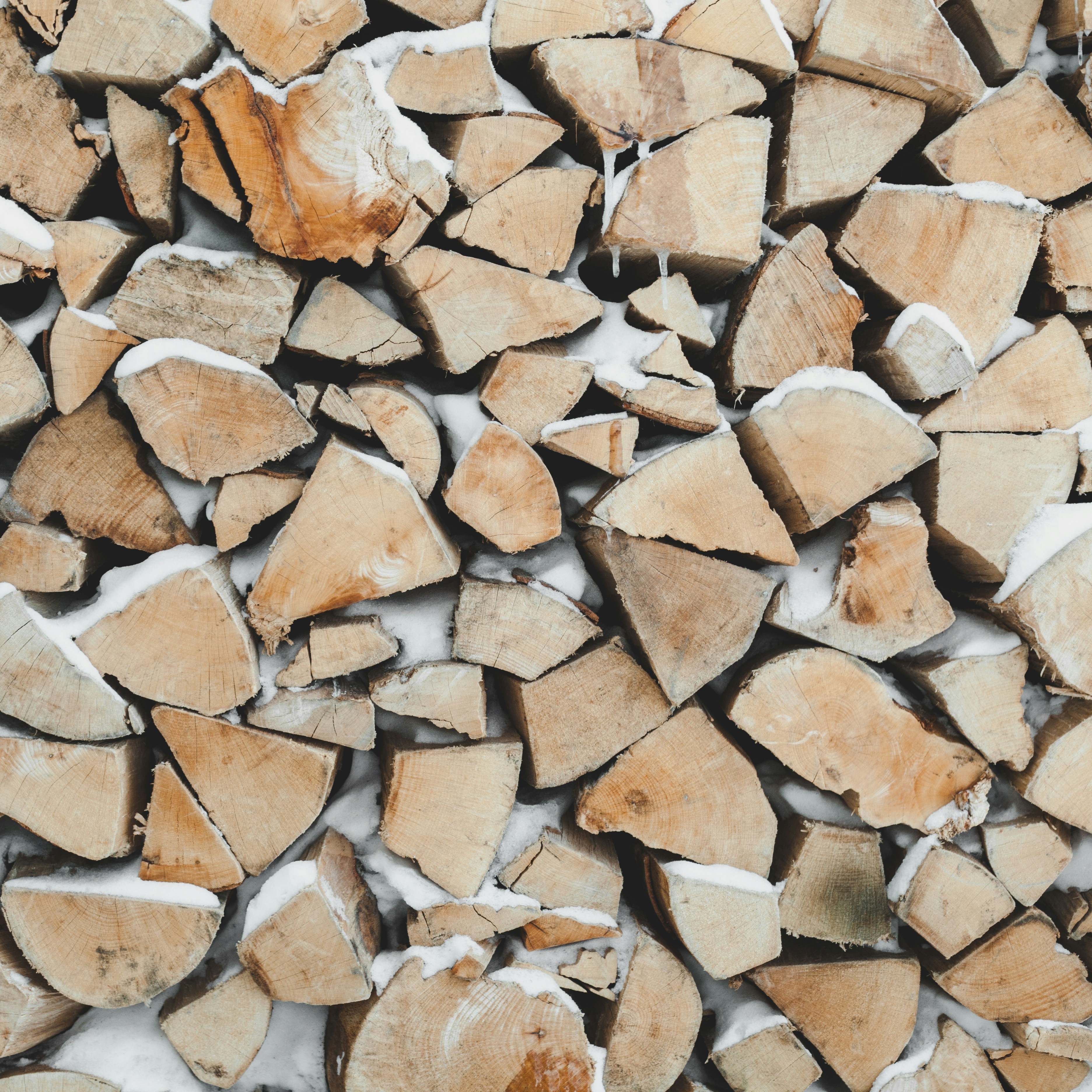 Photo by yannallegre