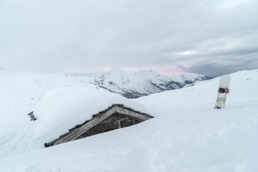 brown wooden shed covered by snow