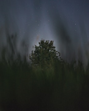 Monochrome artwork showing a night sky with swirling stars and a lone tree silhouette.