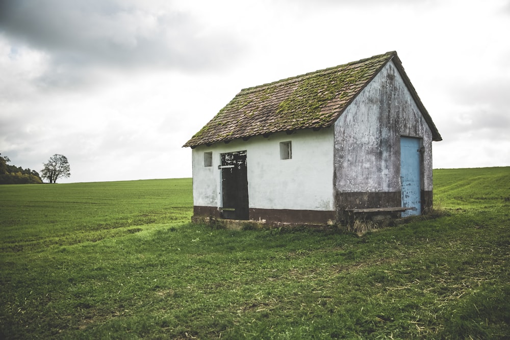 brown and white wooden shed on field of grass