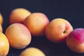Several ripe apricots are scattered against a dark background, displaying a natural gradient of colors from orange to a pinkish hue. The focus is shallow, highlighting the texture and softness of the fruit.