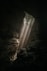 brown cave