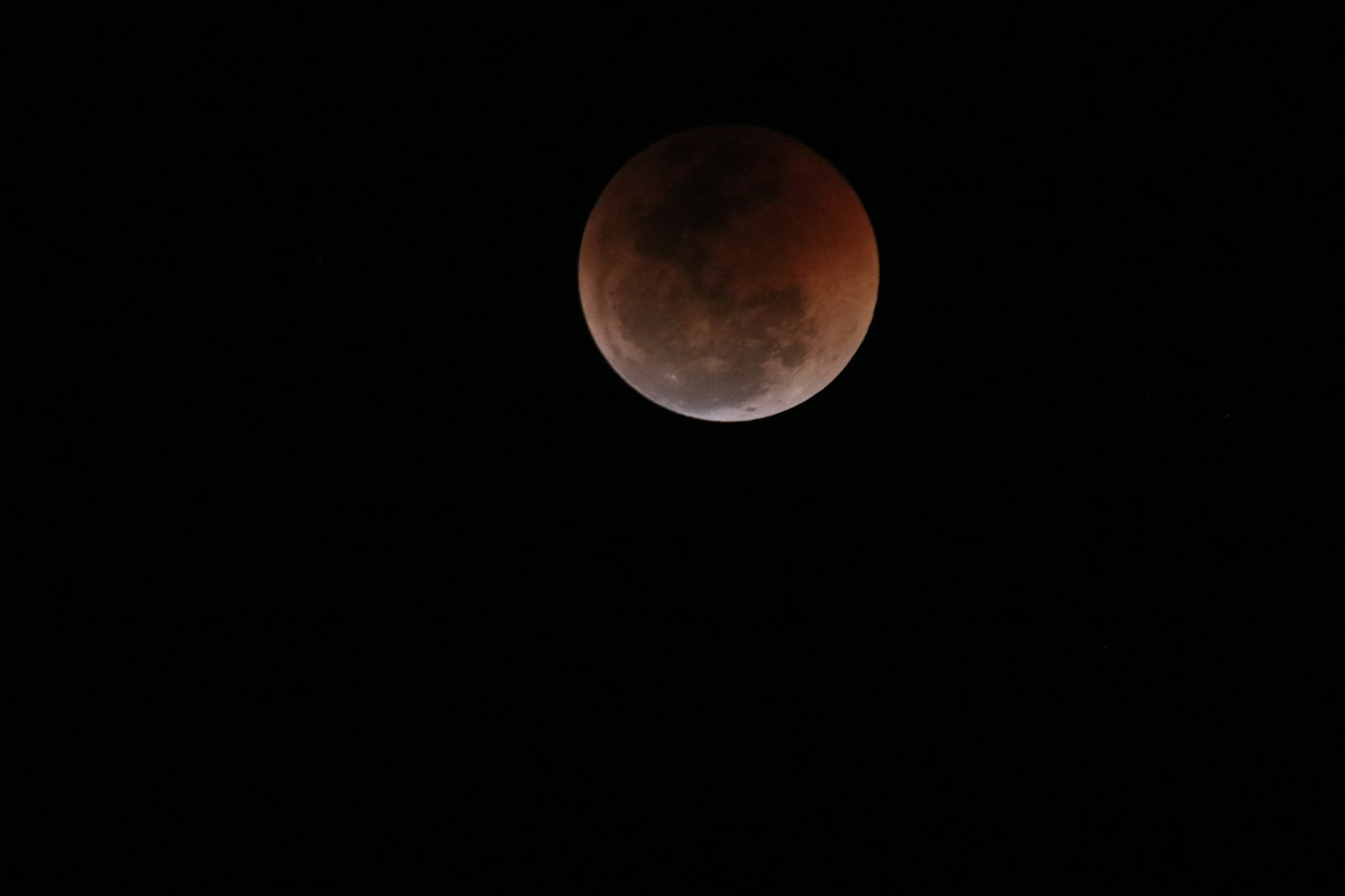 Sigma 150-600mm F5-6.3 DG OS HSM | C sample photo. Red moon photography