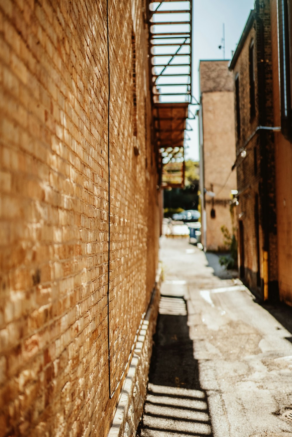 brown wall brick