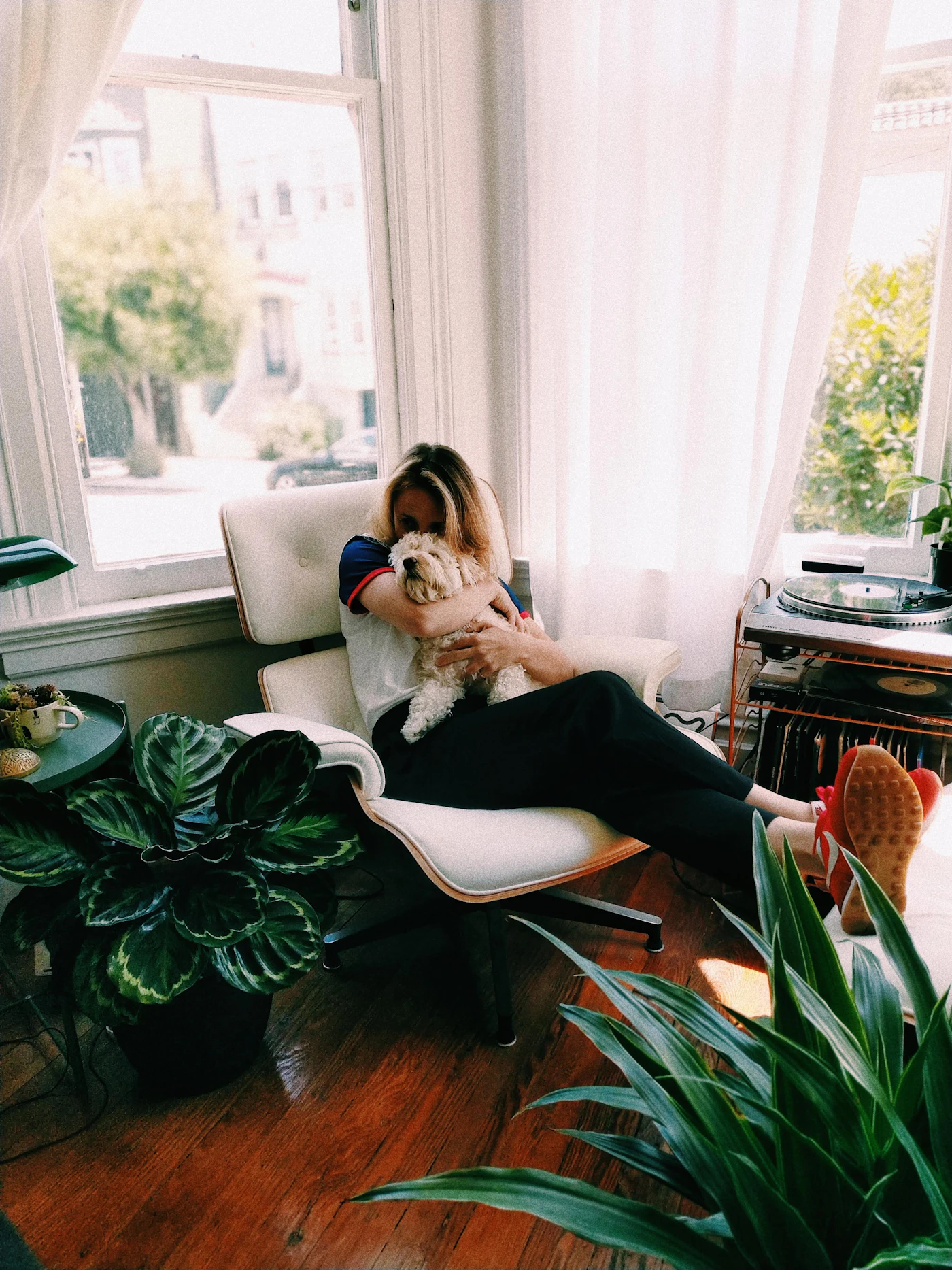 A person relaxing on a lounge chair in a sunlit apartment full of green plants while holding a small fluffy dog