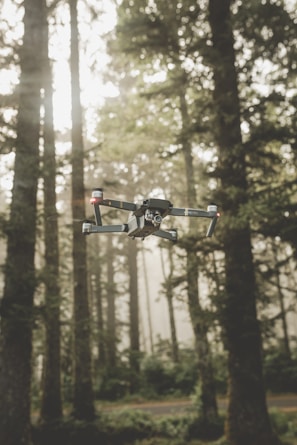 Drone hovering above a forested area for surveillance purposes