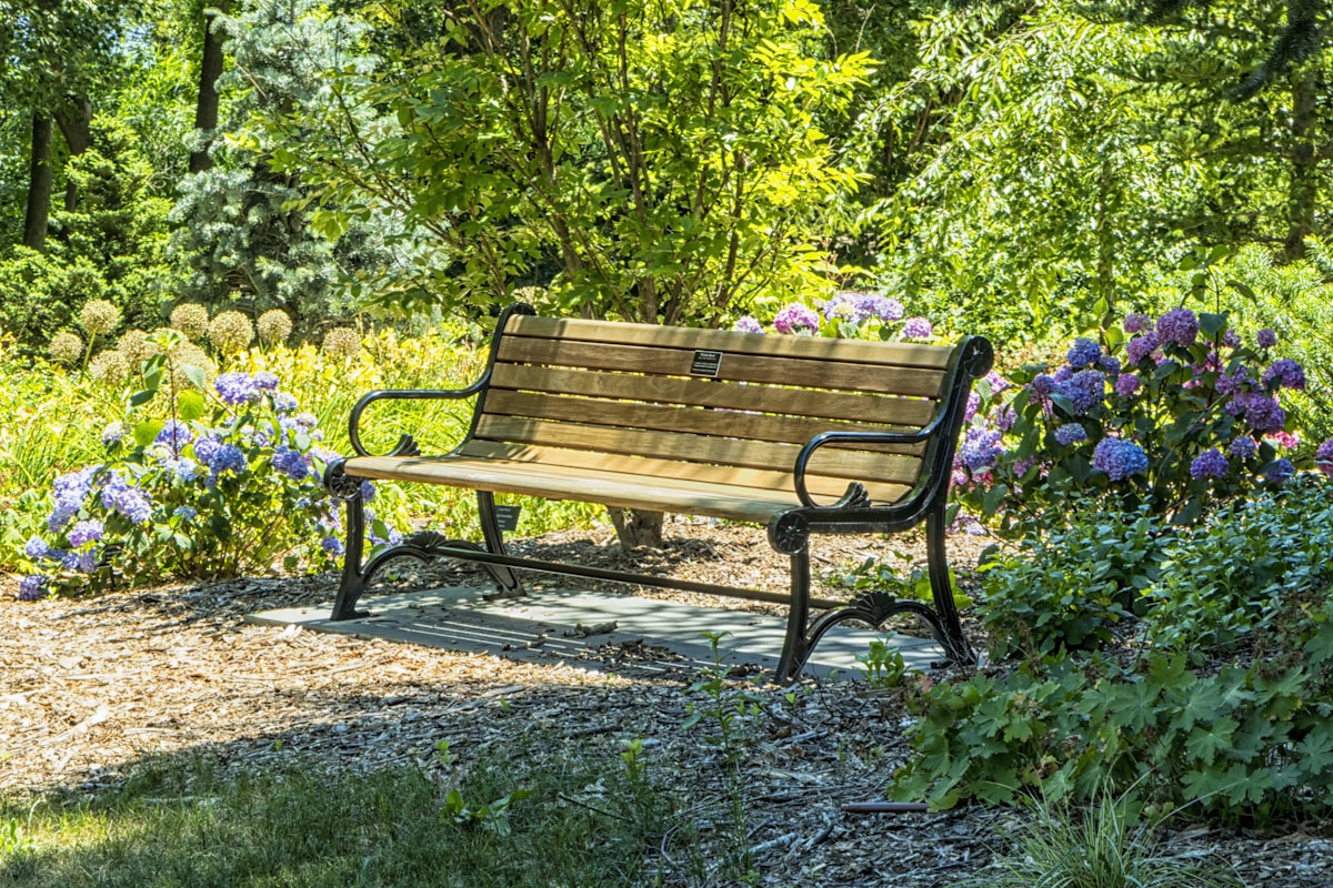 Melting in a Park Bench