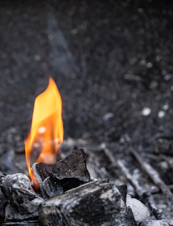 fire on wood