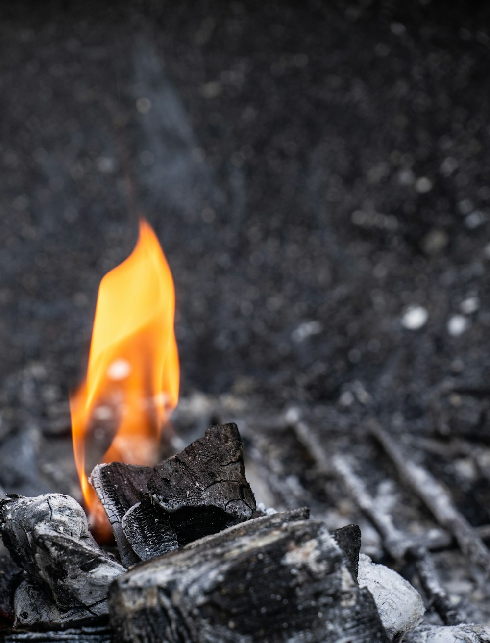 Fuego sobre leña