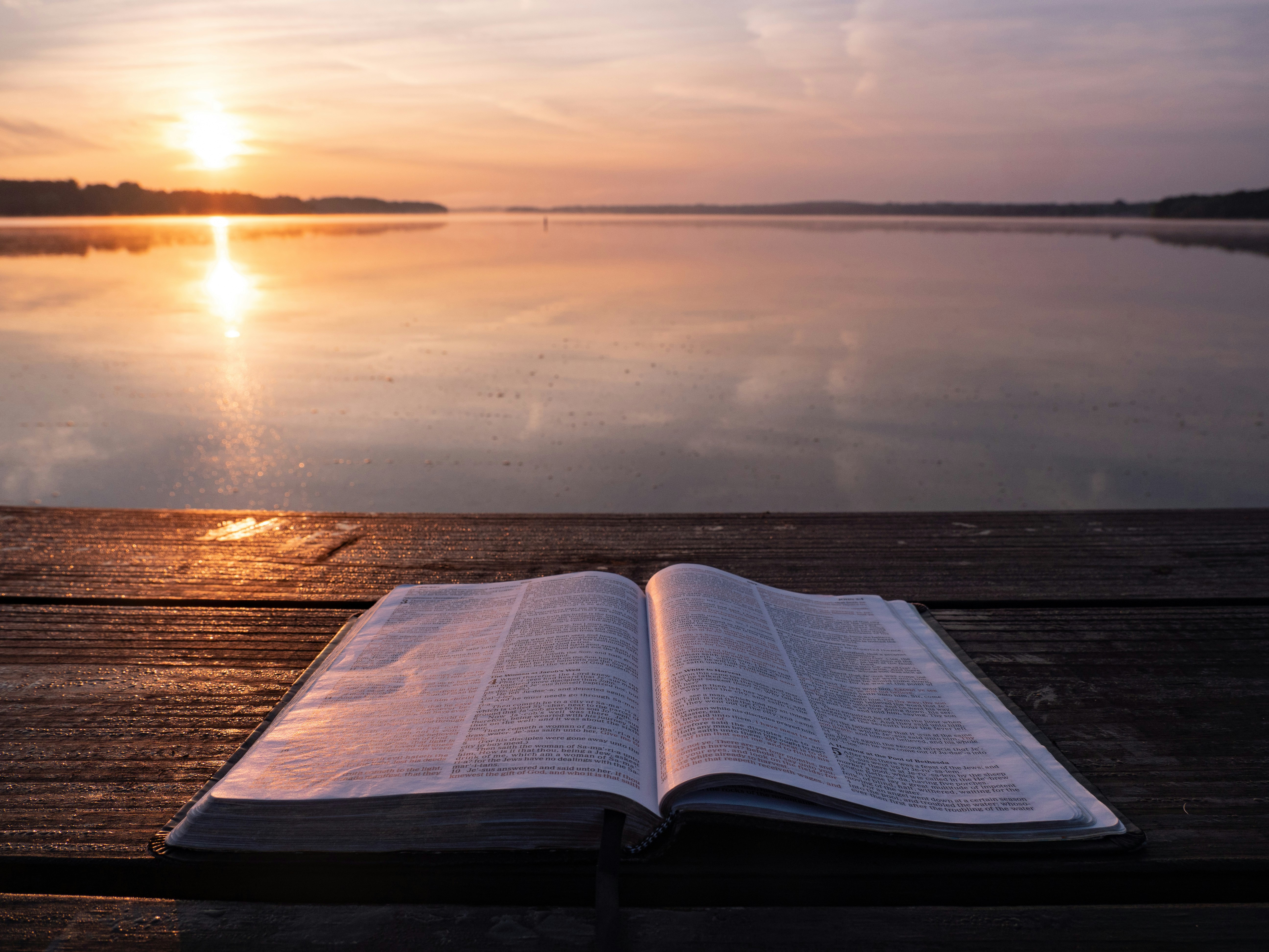 Psalm 147:3 - Healing The Broken - Gizmos Daily Bible Byte