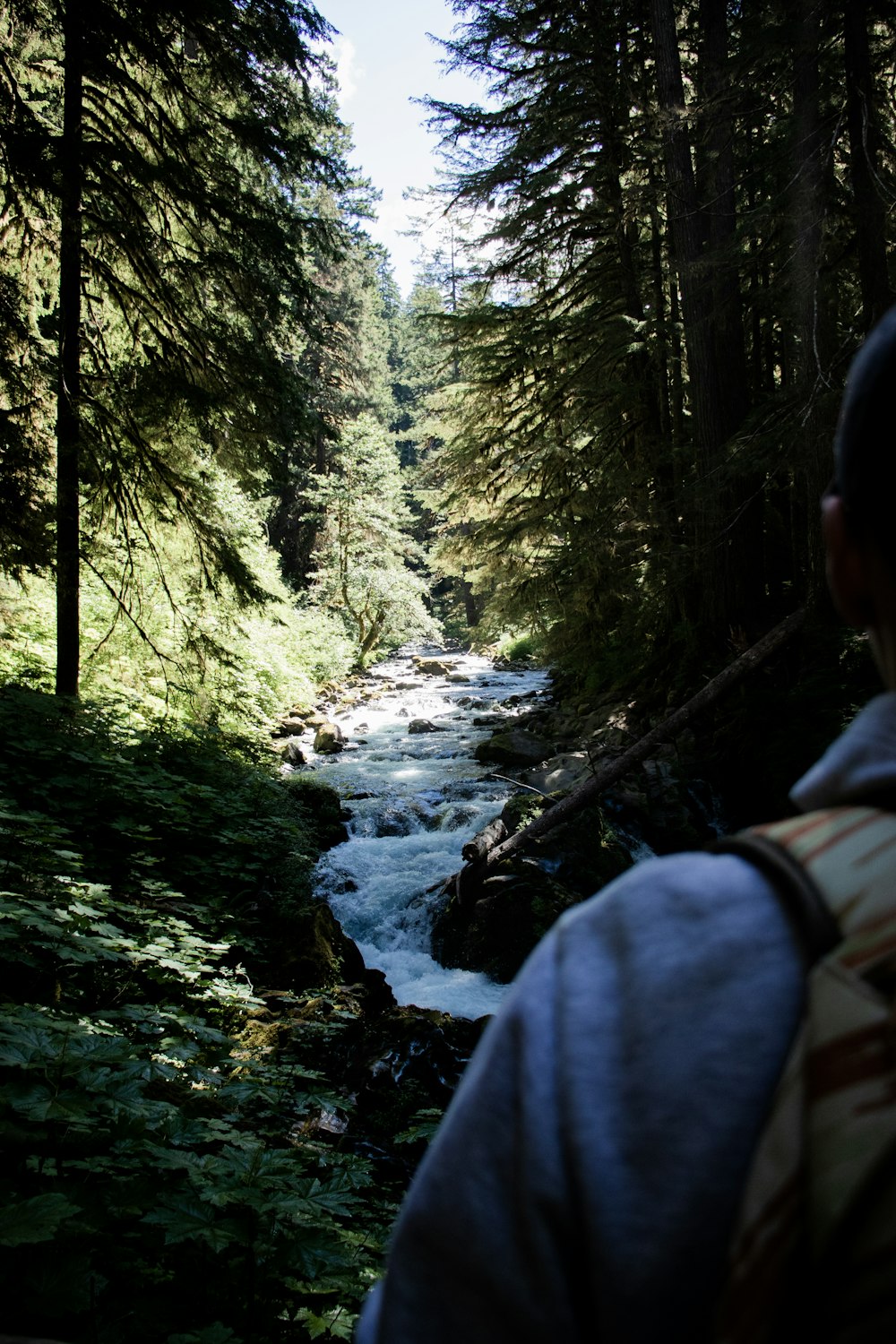 a person with a backpack looking at a river