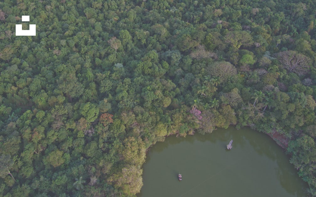 aerial photography of trees and body of water photo – Free Brazil Image on  Unsplash