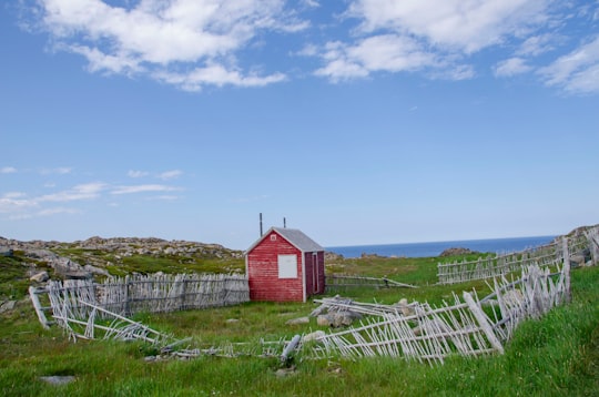 red shed with wrecked fences under blue sky and white clouds during daytime in Bonavista Canada