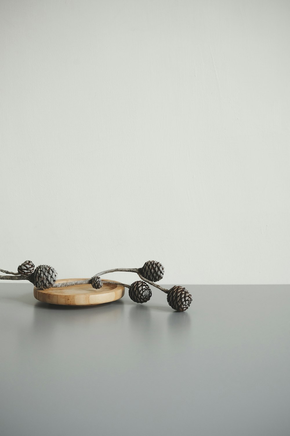 brown decor on brown wooden coaster