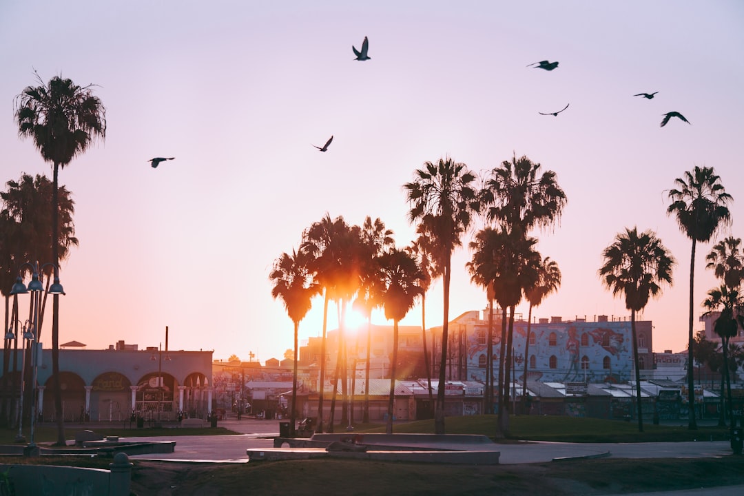 Golden State Gems: 10 Quintessential California Experiences You'll… — Golden State Gems