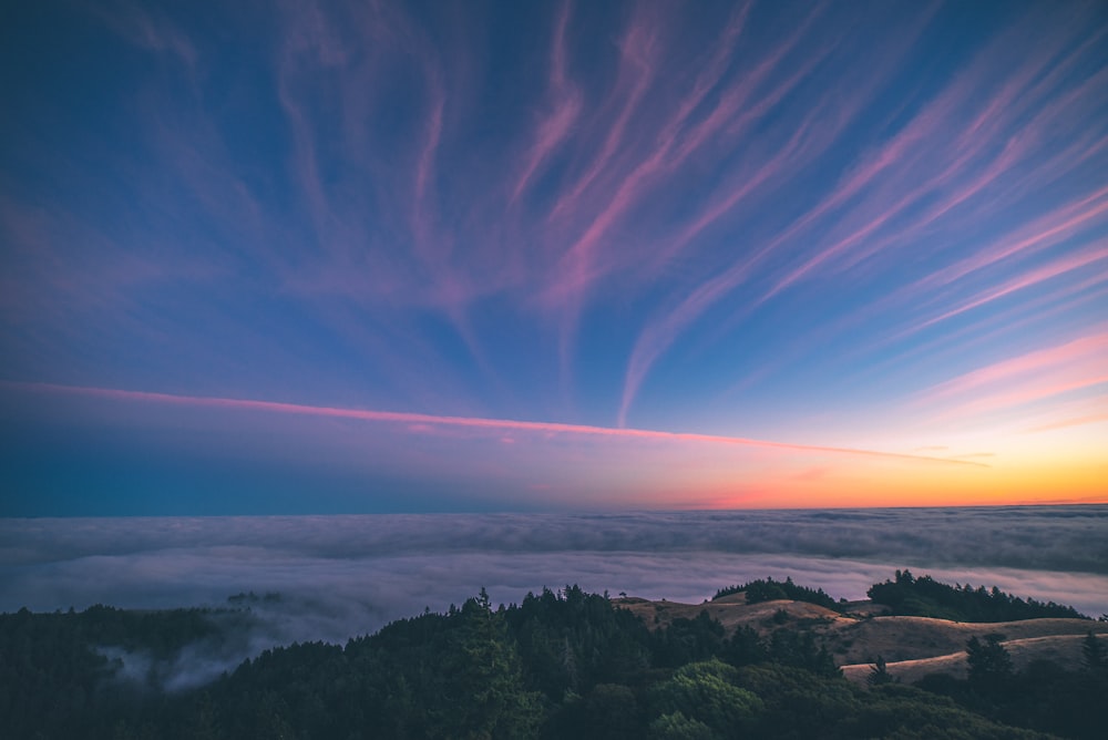 Fotografía de paisajes de tierras verdes durante la hora dorada