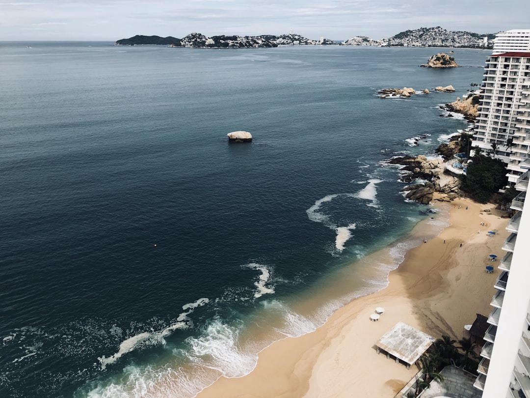 brown sandy beach aerial photo, Acapulco Golden