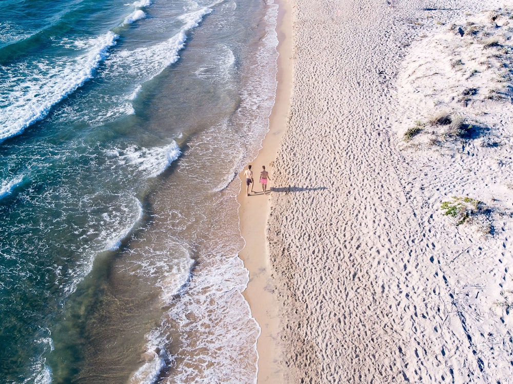aerial photography of two person walking on seashore during daytime