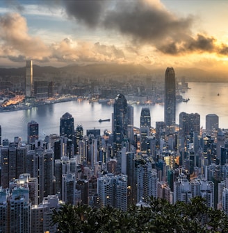 aerial view of city during day time