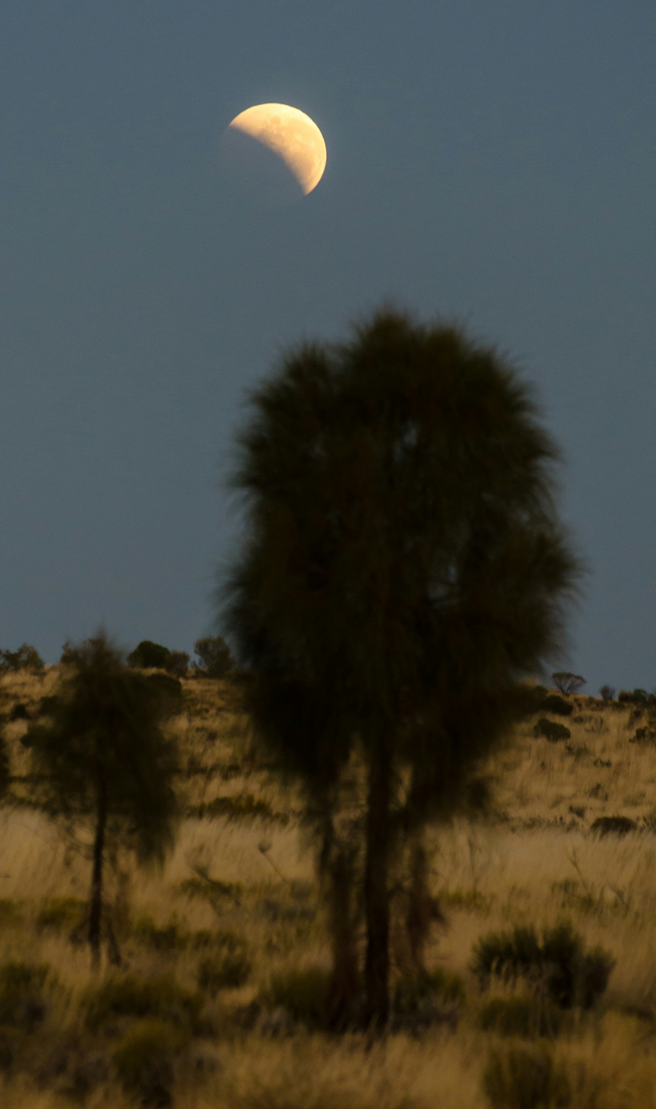 Photo by designwilde