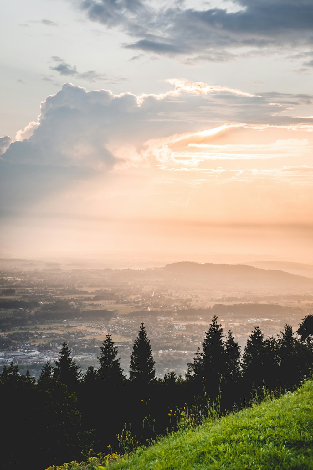 Vue aérienne d’arbres sous des nuages blancs