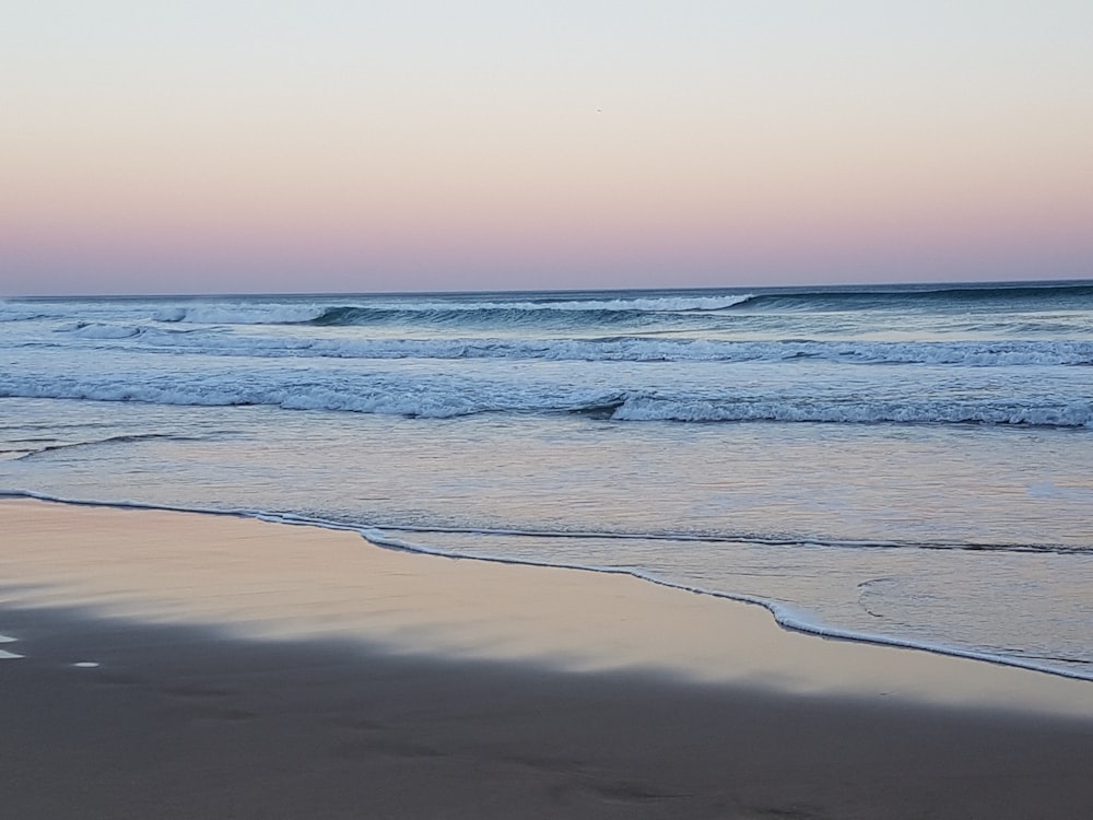 seashore during daytime