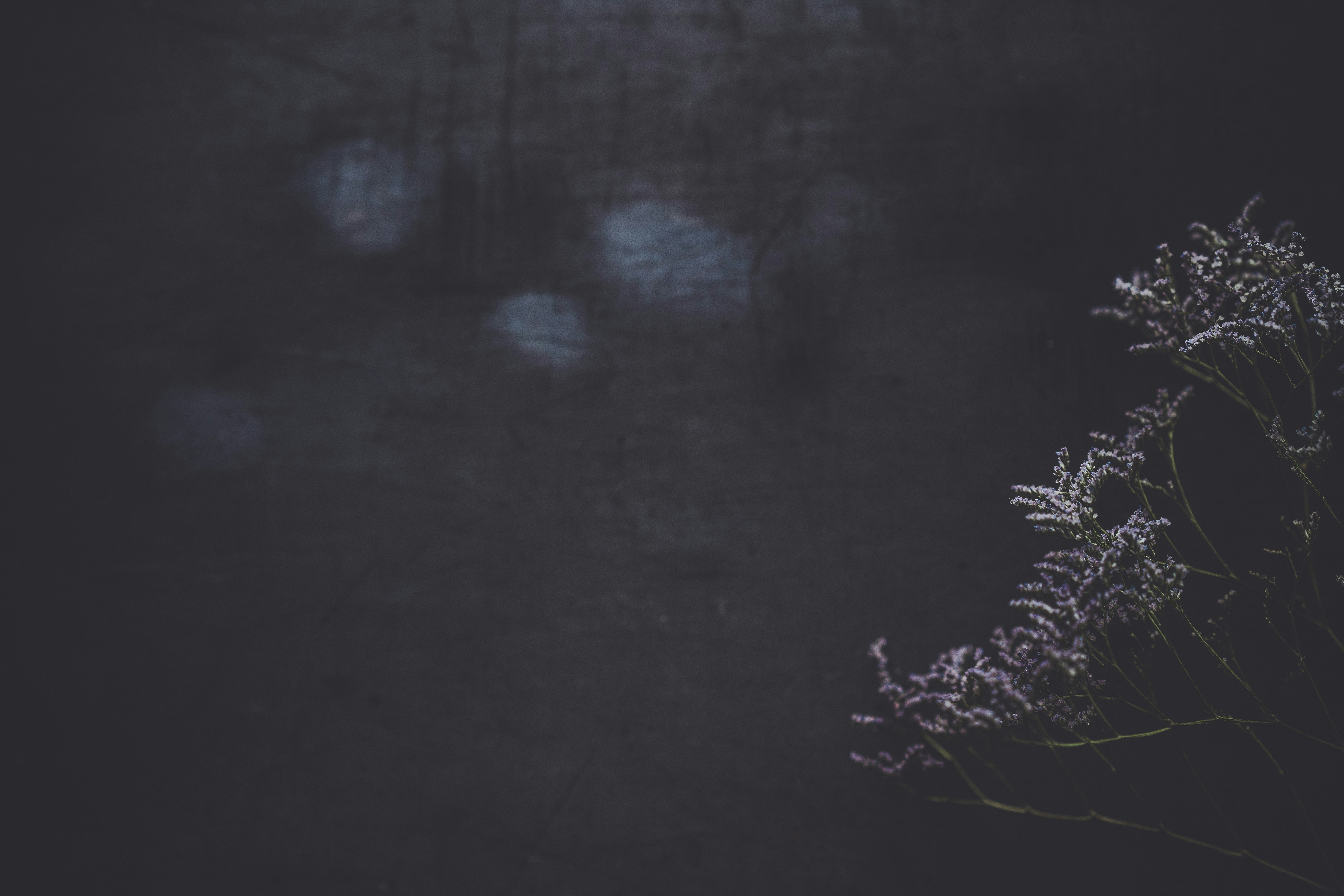 Photo by anniespratt