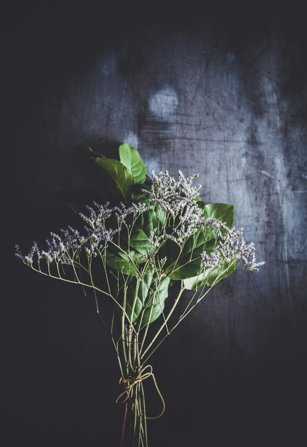 purple petaled flower bouquet