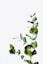 photo 1533038590840 1cde6e668a91?w=64&h=64&crop=entropy,faces&fit=crop