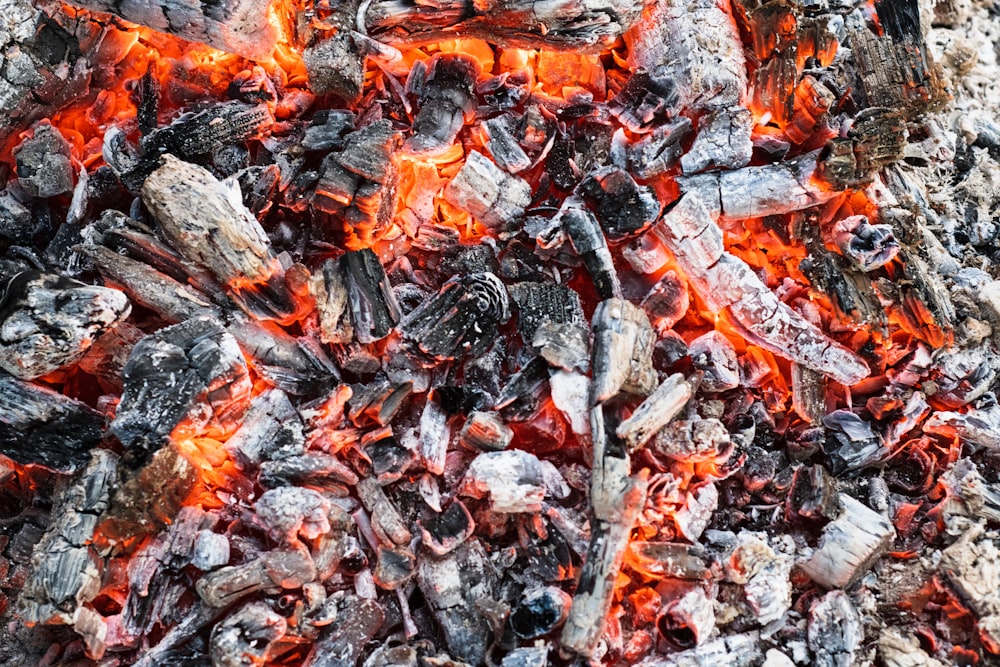 burning firewood photo