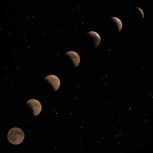 Illustration showing the eight phases of EMDR therapy arranged in a circular flow.